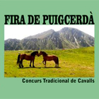 Fira de Puigcerdà